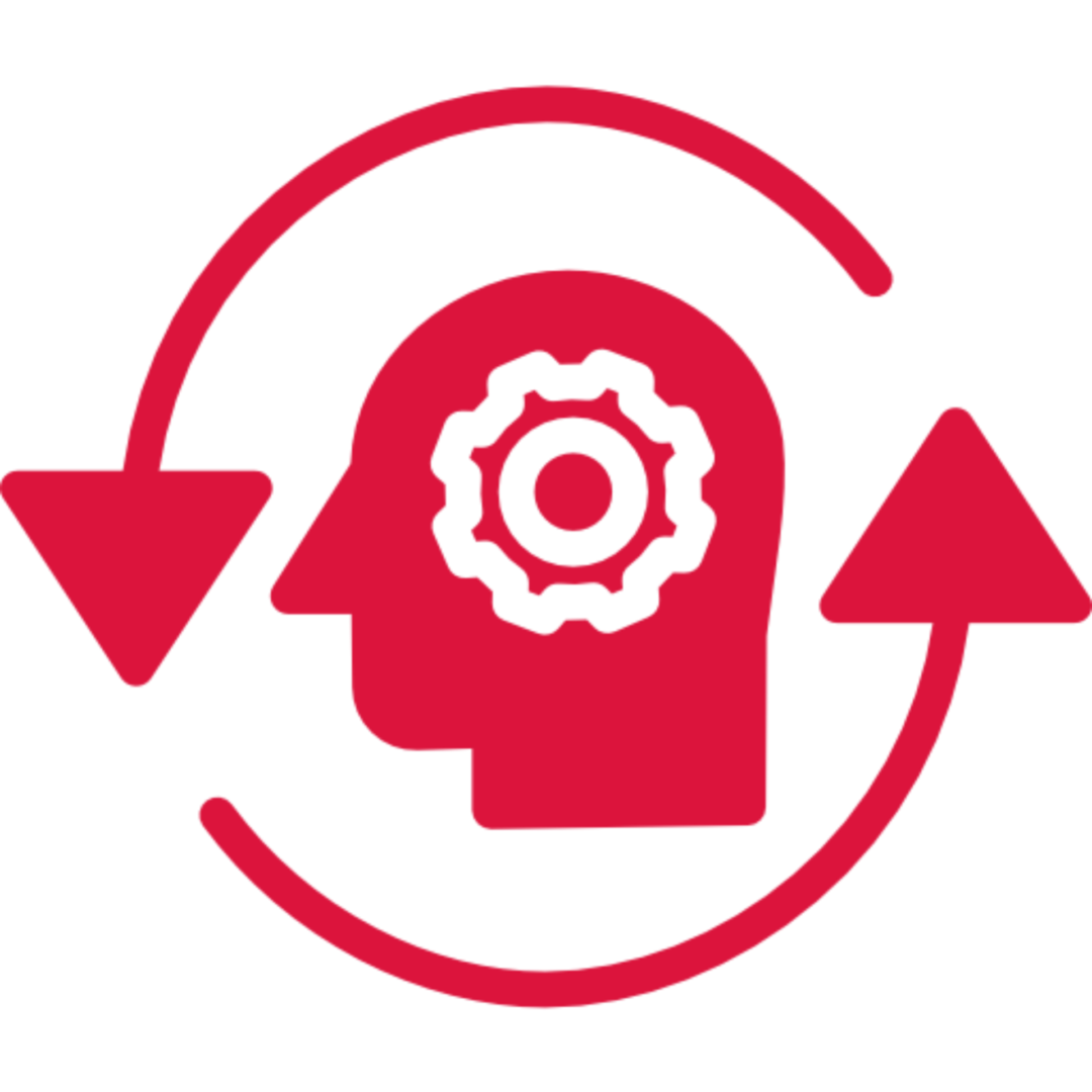 Red icon of a person’s head with arrows pointing to the brain, symbolizing the idea of learning and growth